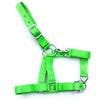 Halters & Lead sets - Mini to Full size in all colors