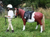 Children's saddles Pony Saddles