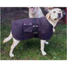 Oilskin dog coats