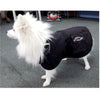 Oilskin dog coats